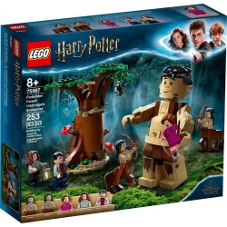 Lego Harry Potter Zakazany Las: spotkanie Umbridge 75967
