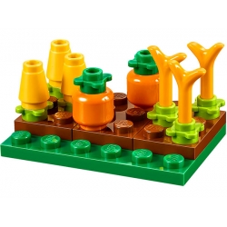 Lego Seasonal Plony na Święto Dziękczynienia LEGO® 40261