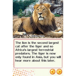Animal World Big Cats (DS)