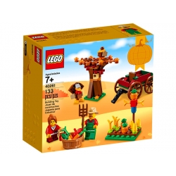 Lego Seasonal Plony na Święto Dziękczynienia LEGO® 40261