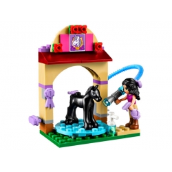 Lego Friends Kąpiel źrebaka 41123