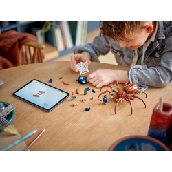 Lego Harry Potter Aragog w Zakazanym Lesie™ 76434