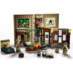 Lego Harry Potter Chwile z Hogwartu™: zajęcia z zielarstwa 76384