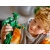 Lego Super Heroes Figurka Zielonego Goblina 76284