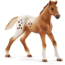 Schleich Horse Club Treningowy koń Appaloosa 42433