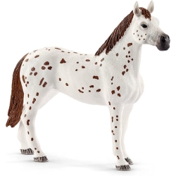 Schleich Horse Club Treningowy koń Appaloosa 42433