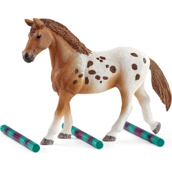 Schleich Horse Club Treningowy koń Appaloosa 42433