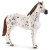 Schleich Horse Club Treningowy koń Appaloosa 42433