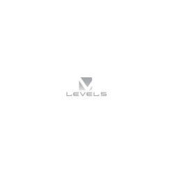 Level 5