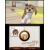 Nintendogs + Cats: Golden Retriever SELECTS(3DS)