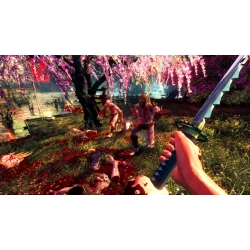 Shadow Warrior (PS4)